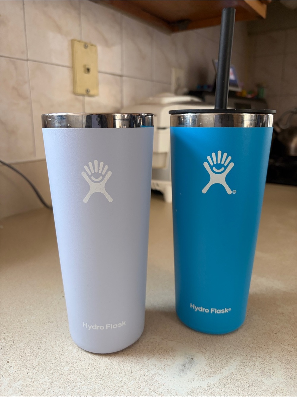 Hydro Flask Blue and Light Lavender Insulated Tumblers Set